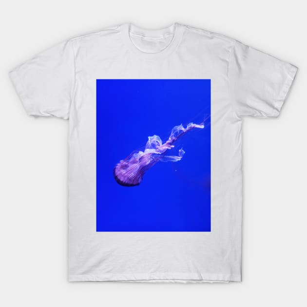 jellyfish T-Shirt by WordsGames